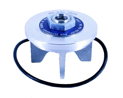 FE&#x20;Petro&#xAE;&#x20;Submersible&#x20;Turbine&#x20;Pump&#x20;&#x20;Check&#x20;Valve&#x20;65psi